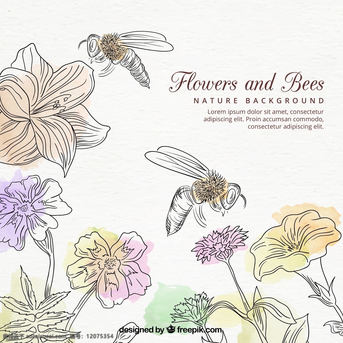 手绘 蜜蜂 水彩 花卉 背景 手绘蜜蜂 水彩花卉 花卉背景 花卉素材 白色
