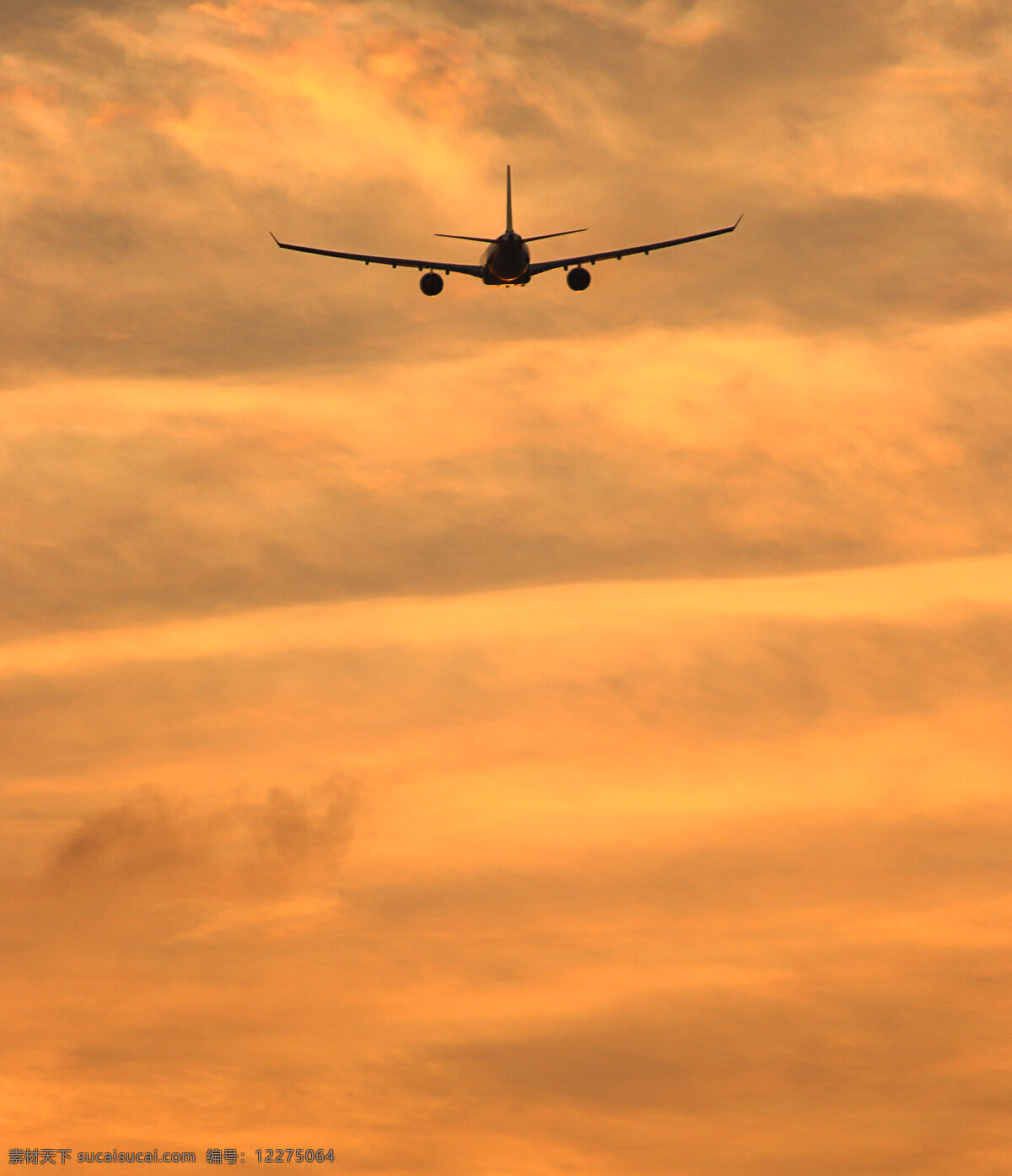 飞机 飞 一个 热带 目的地 日落 黄色