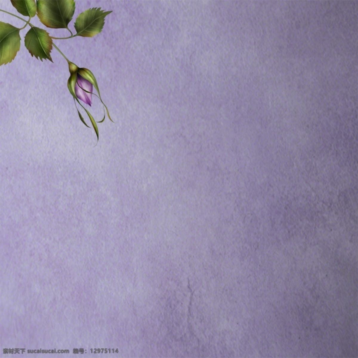 背景 蓝紫 淘宝 花朵 主图背景 紫色 主 图 灰色