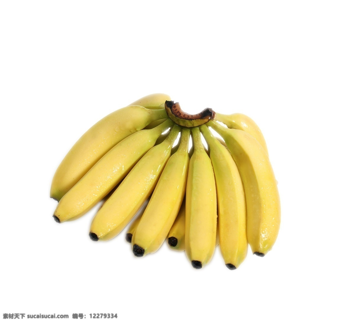 香蕉图片 png图片 png免抠 素材免抠 免抠素材 免抠元素 免抠 ps免抠 抠图 切片 新鲜 水果 空运 进口 超市 生鲜 香蕉 超市生鲜百货 png素材