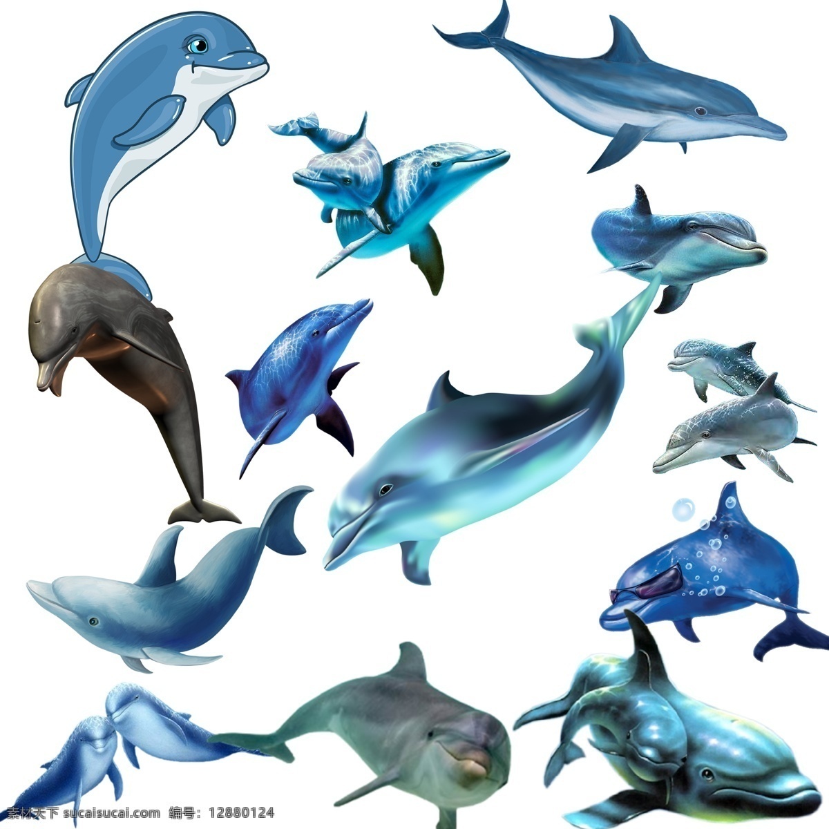 白鳍豚 水产 哺乳动物 鱼类 海豚表演 海豚素材图 海豚png 海豚psd 海豚装饰 海洋海豚 海洋世界海豚 高清海豚图 分层