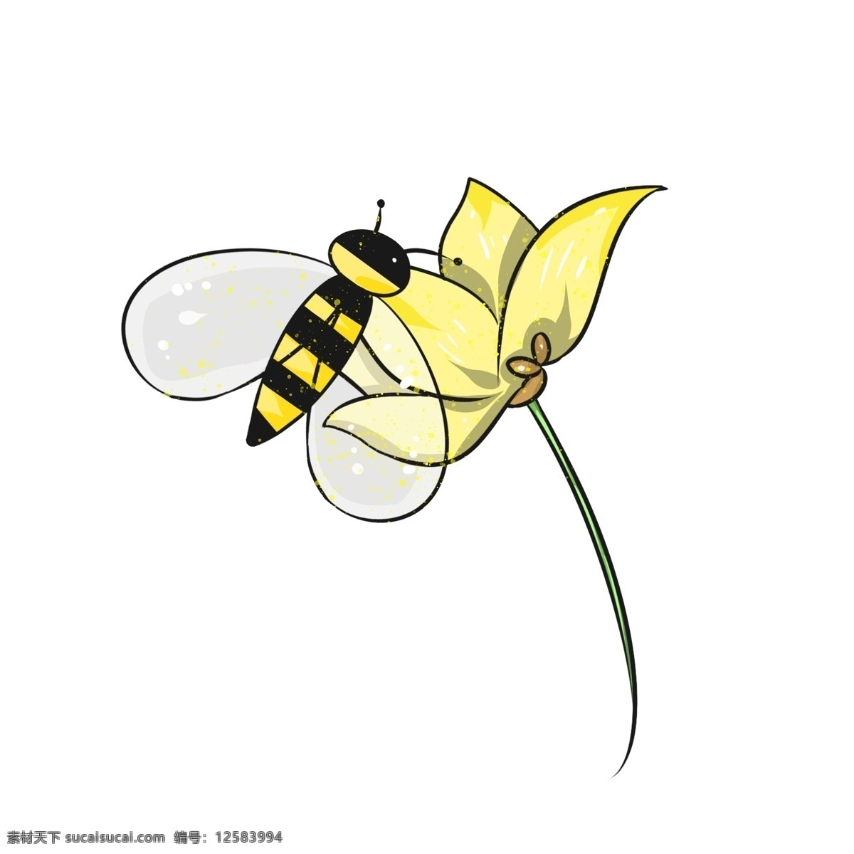 蜜蜂 花朵 迎春花 黄色 小花 黄色小花