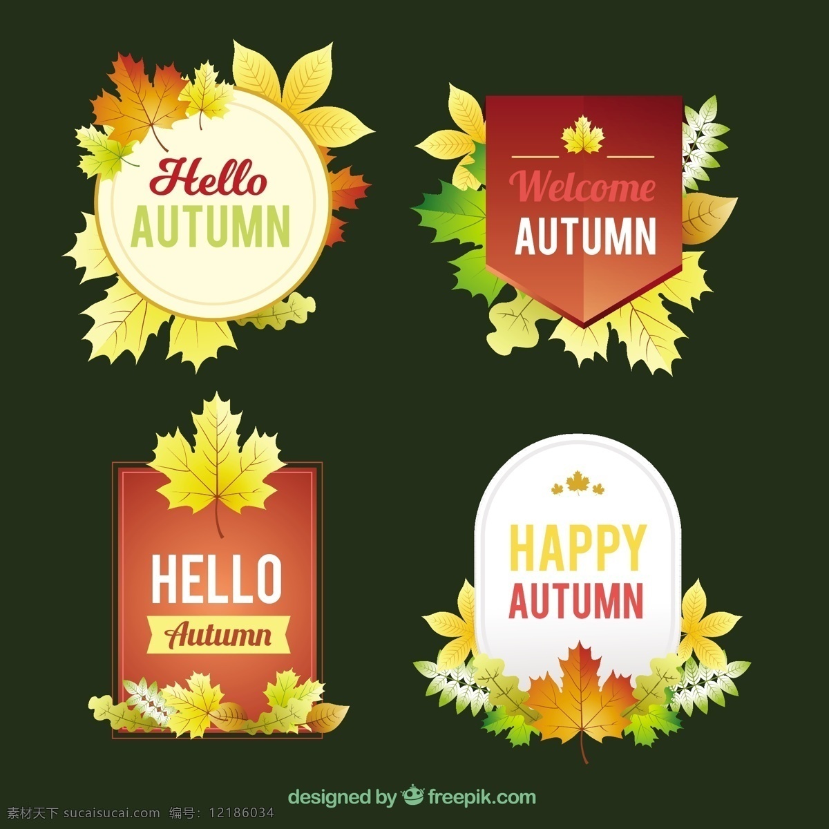 秋季 标签 现代 收藏 叶 自然 可爱 秋天 树叶 五颜六色 平 色彩 平面设计 温暖 树枝 秋叶 季节 可爱的