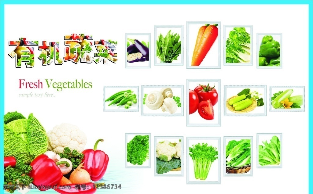 新鲜时蔬海报 海报 时蔬 蔬菜 菜谱 油菜 丝瓜 广告设计模板