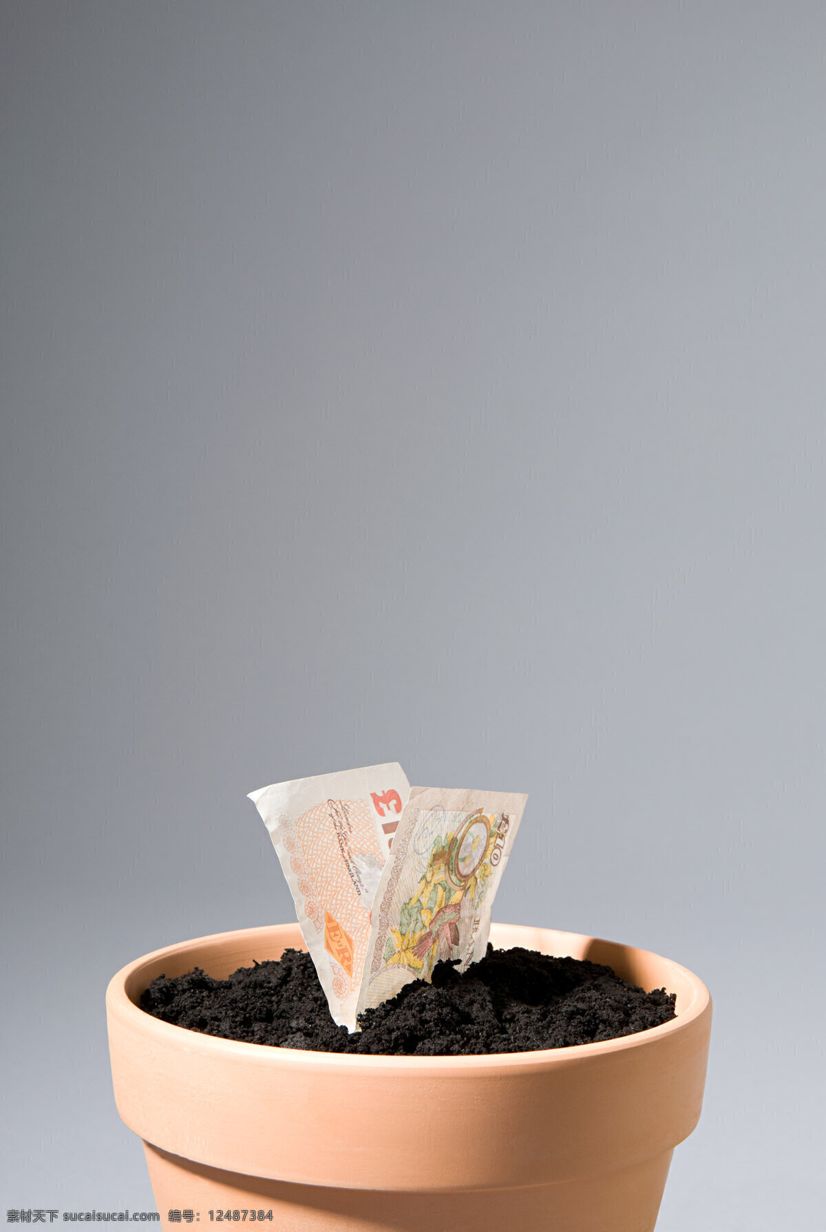 花盆 里 生长 两 张 纸 塑料 橙色 黑色土壤 土 泥 外钞 金钱 画面 图案 灰色背景 照片 高清大图 高清图片 花草树木 生物世界