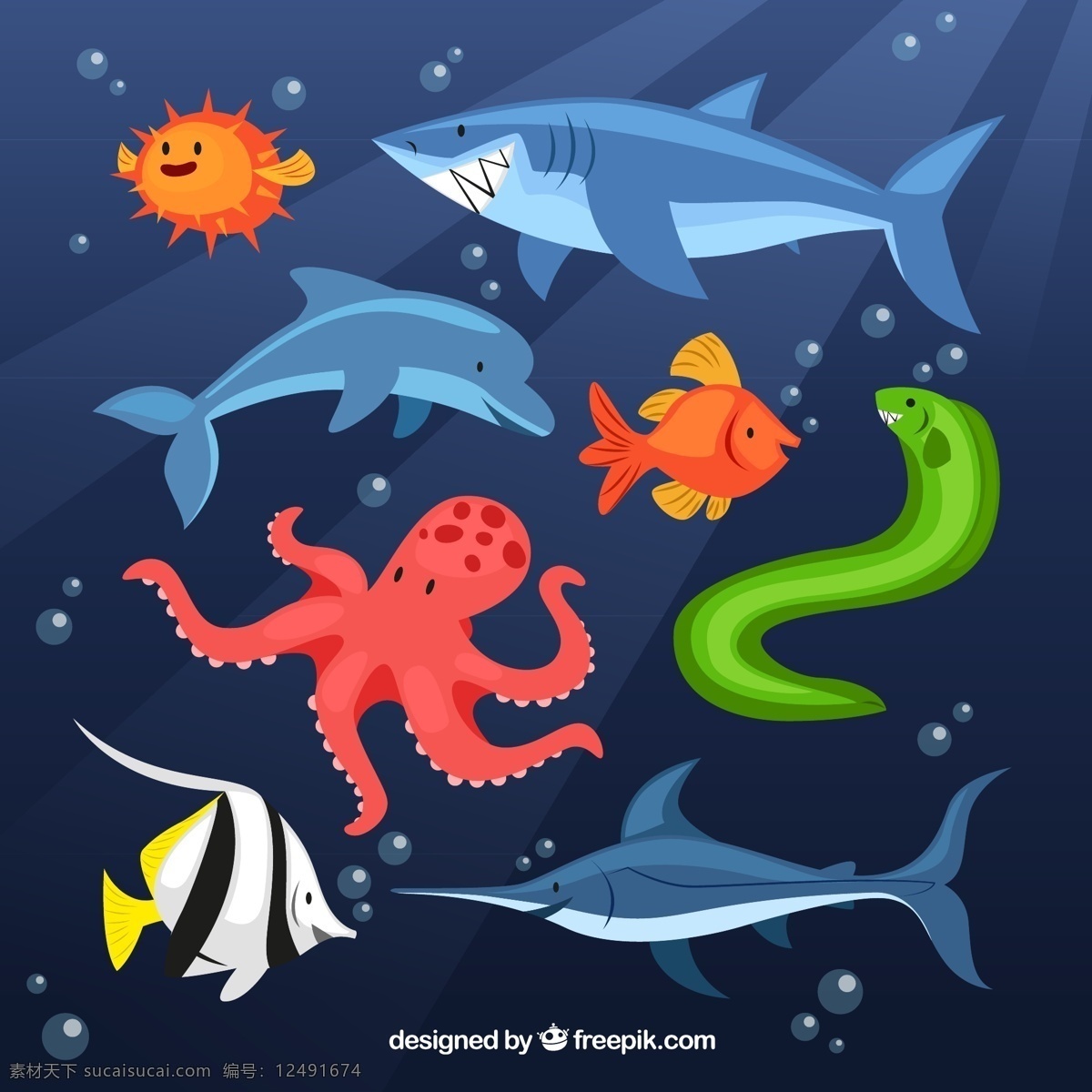 卡通海洋动物 卡通海洋生物 卡通 海洋动物 章鱼 鲨鱼 剑鱼 海豚 鳗鱼