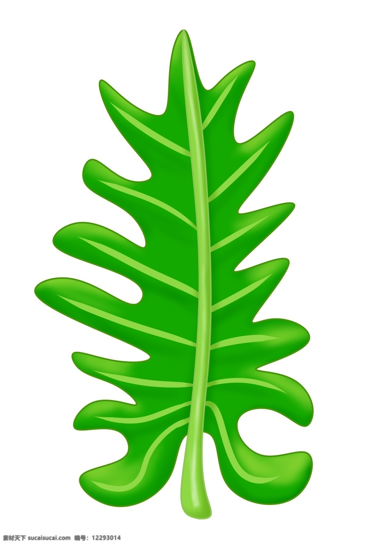 热带植物叶子 绿色 立体 创意
