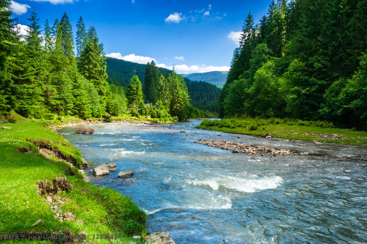 清澈 河水 草地 水花 植物 树 蓝天 白云 山水风景 风景图片