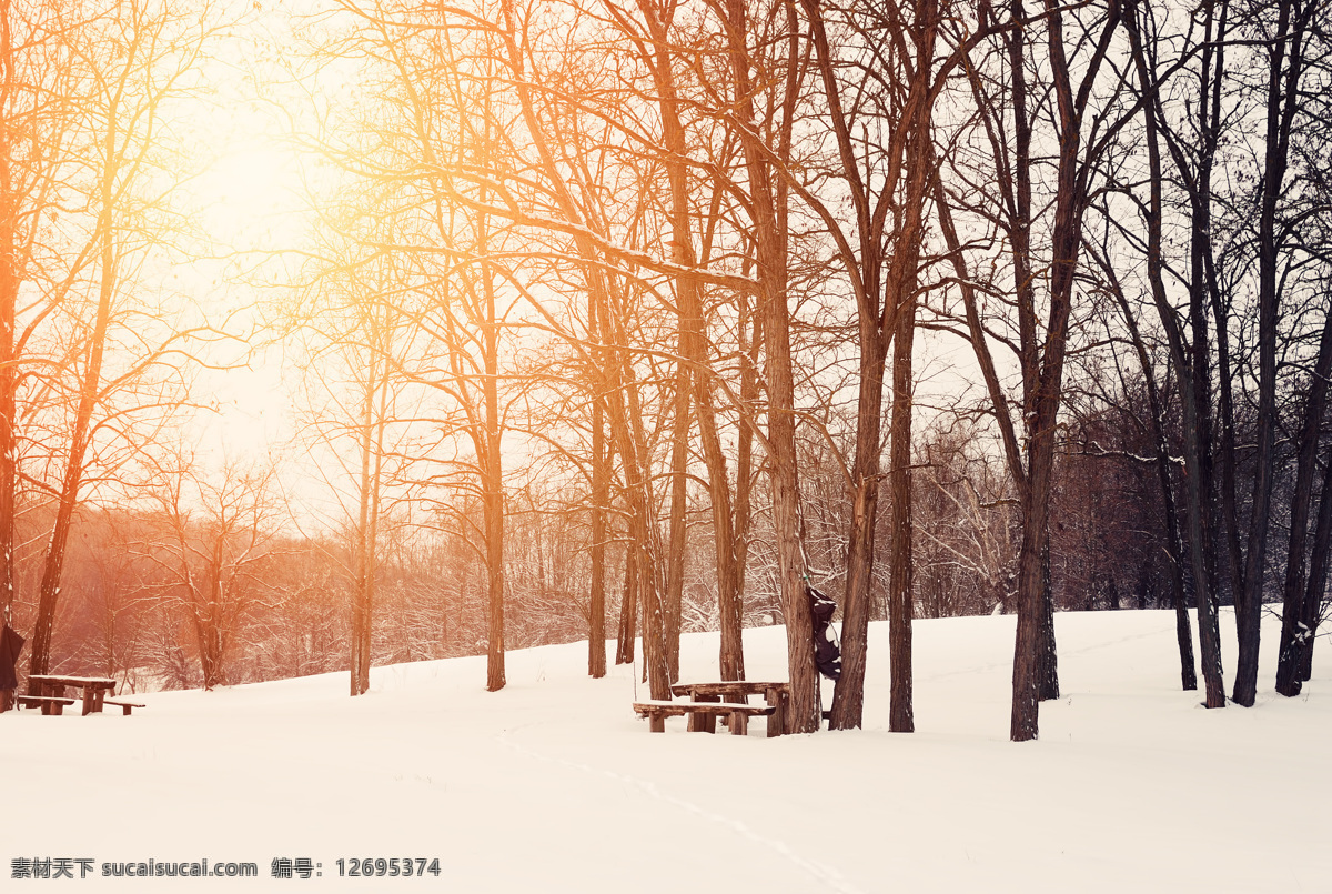 树林雪景摄影 冬天风景 美丽公园风景 树林风景 公园冬季风景 美丽雪景 雪地风景 风景摄影 自然风景 自然景观 白色