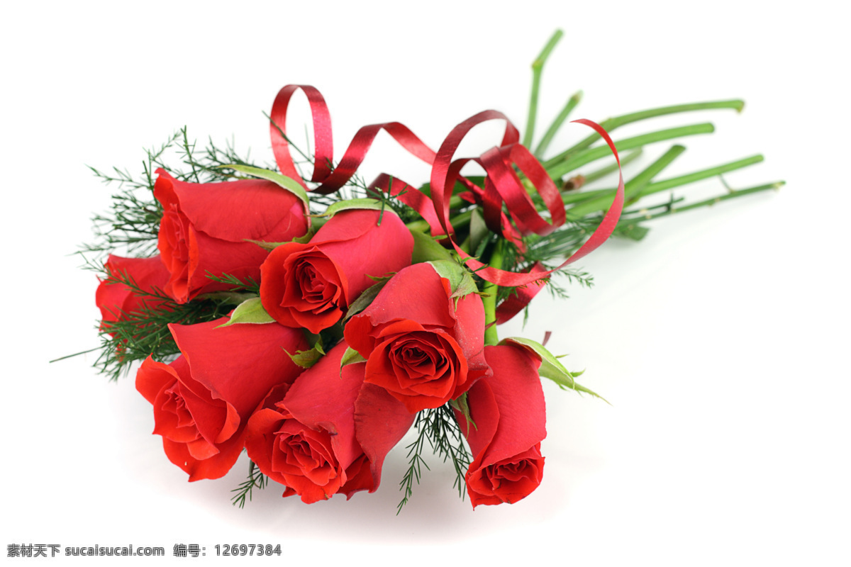 高精度 束 红色 玫瑰花 创意图片 高清图片 红色玫瑰花 花朵 花卉 花束 设计素材 印刷适用 自然风景 自然 sxzj 风景 生活 旅游餐饮