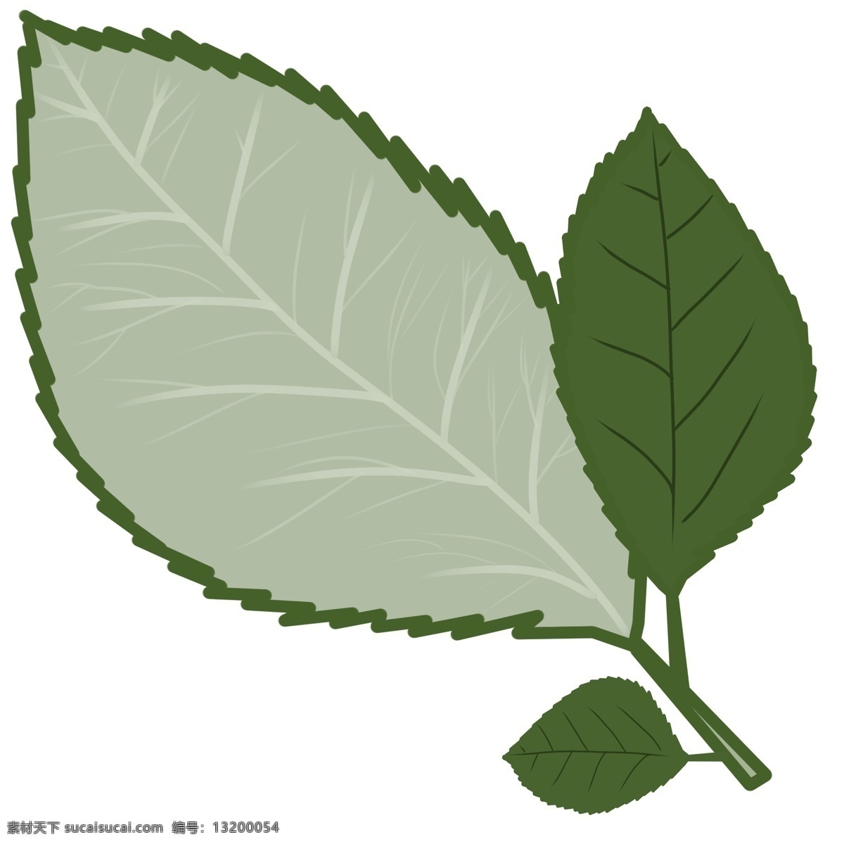 绿叶 边框 装饰 插画 绿色的叶子 植物 植物边框 卡通装饰边框 绿叶边框插画 创意植物边框