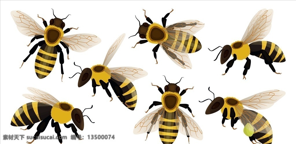 矢量蜜蜂 卡通蜜蜂 手绘蜜蜂 蜜蜂插画 凶悍蜜蜂 可怕蜜蜂 蜜蜂哲人 拟人蜜蜂 蜜蜂角色 动物 生物世界 昆虫 底纹边框 其他素材