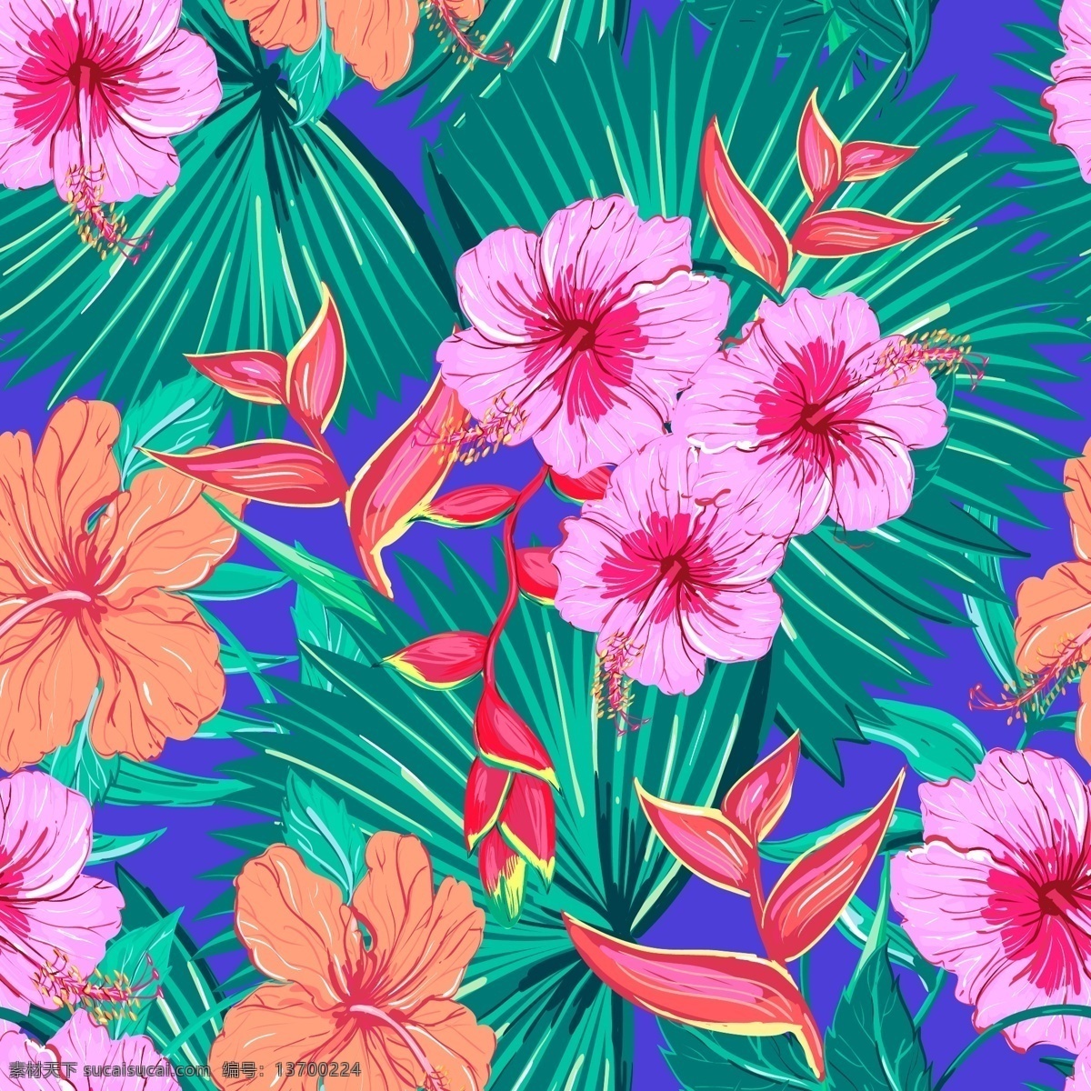 艳丽 热带 花朵 插画 花卉 手绘 叶子 植物