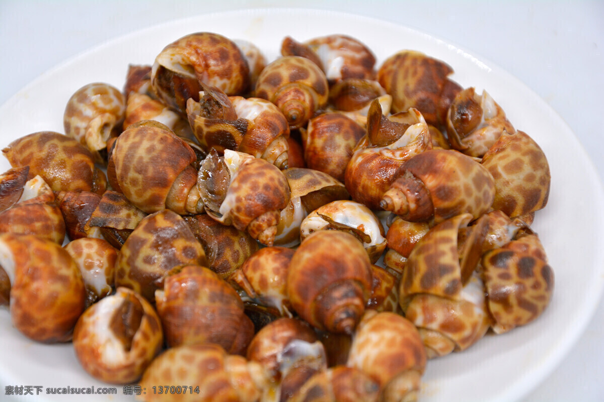 海螺特写 海鲜 美食 花螺 螺 水煮海鲜 海螺 海鲜酒家 海鲜酒店 大排档 美味 水煮花螺 白灼花螺 盐水花螺 盐水海鲜 粤菜 广东菜 饮食 可口 菜 菜谱 美食素材 海鲜素材 海洋生物 美食摄影 海鲜摄影 海产 螺肉 海产品 海味 酒店 酒家 煮花螺 煮海鲜 原味海鲜 原味花螺 菜式 家常菜 餐饮美食 食物原料