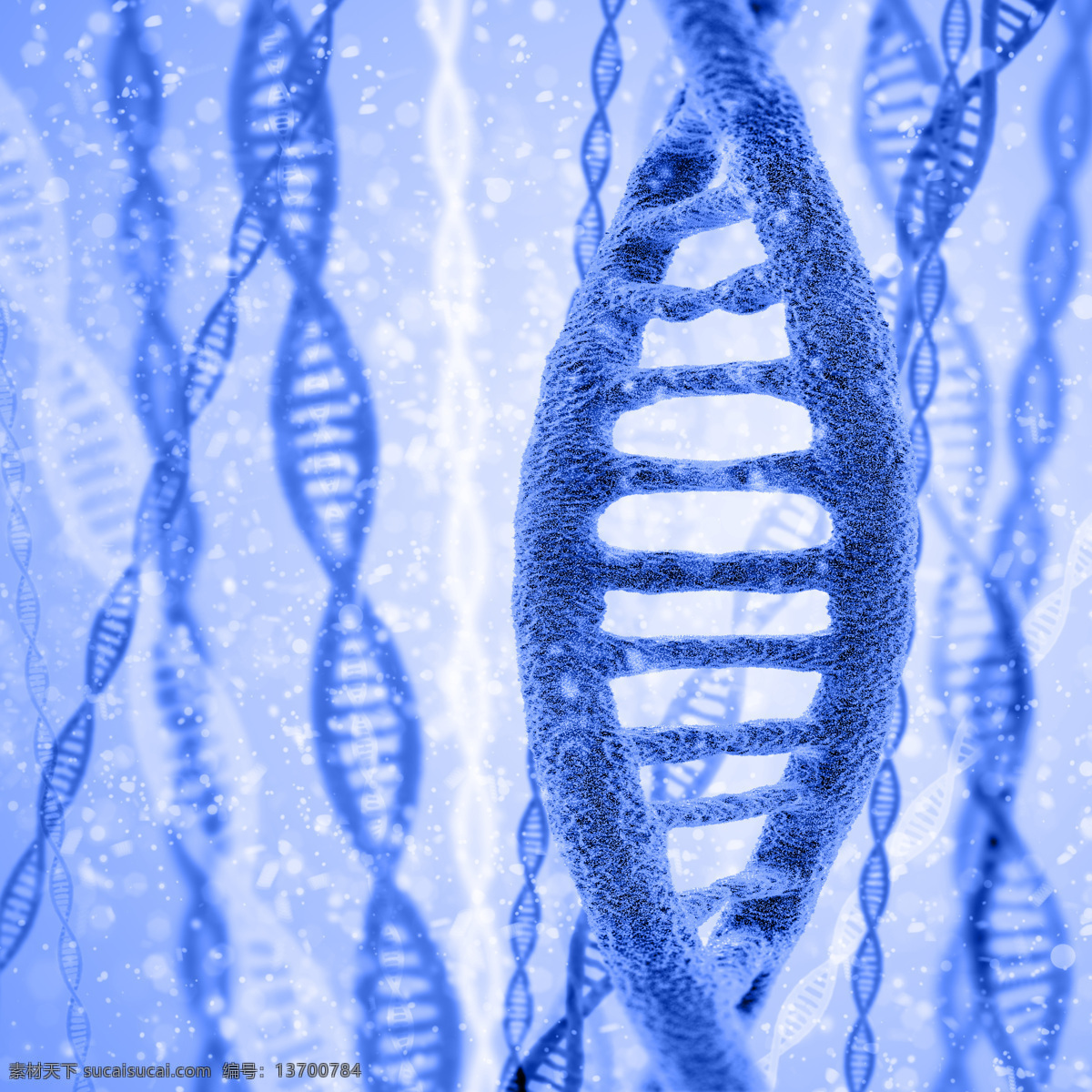 基因dna 分子 双链结构 高分子聚合物 脱氧核糖核酸 遗传 医疗 医学 染色体 科学实验 结构 现代科技 科学研究