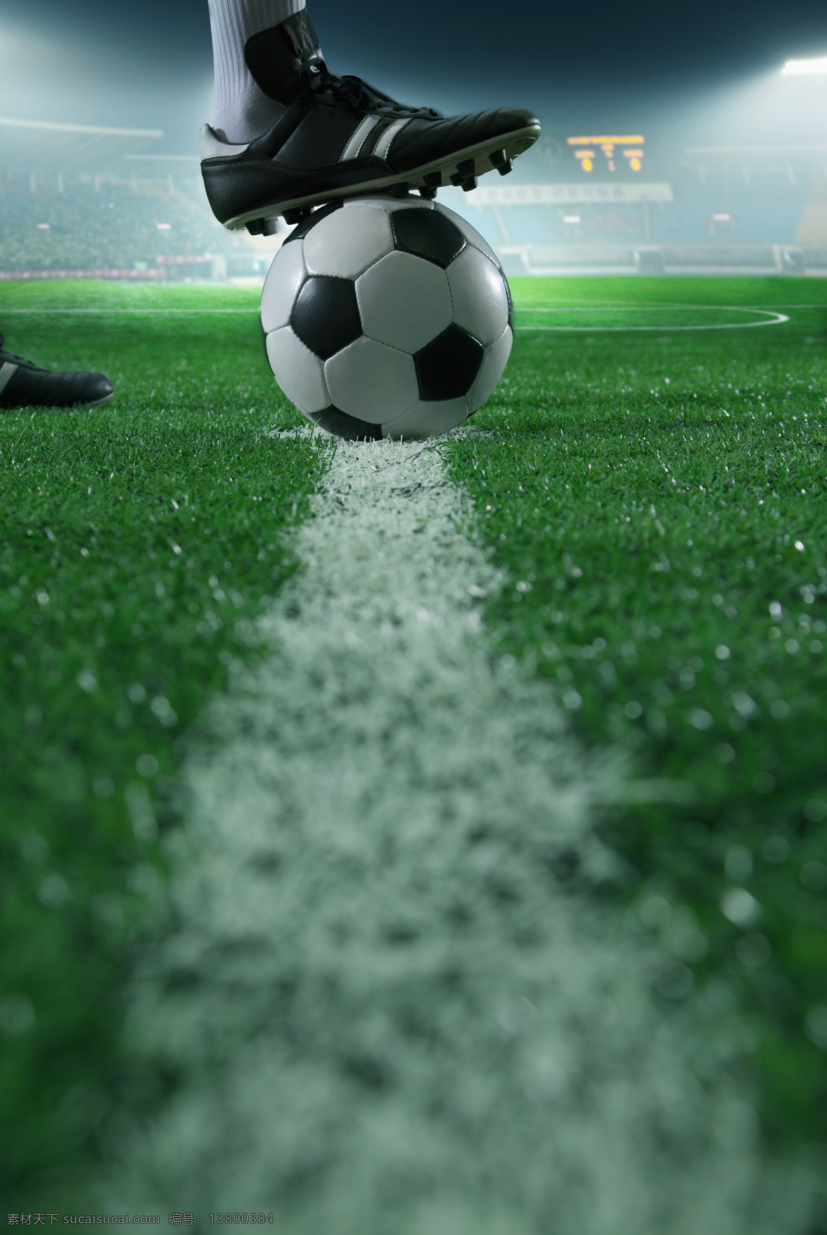 草地上的足球 足球 草地 运动员 竞技 比赛 体育运动 生活百科 绿色