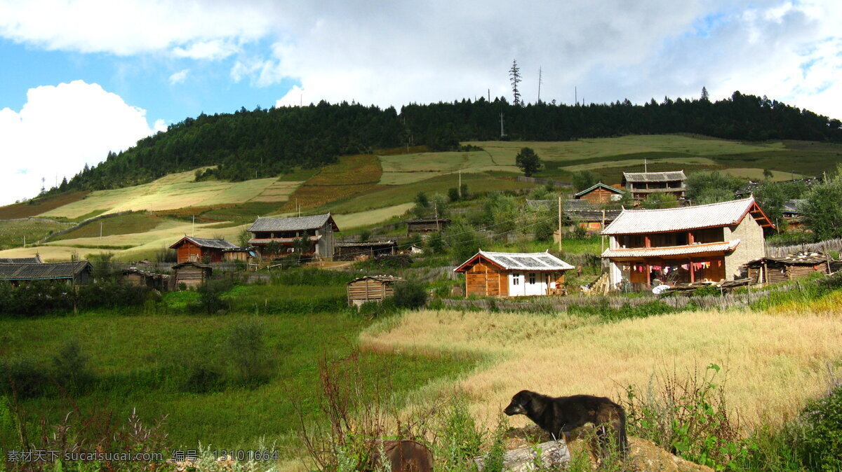 2008 滇 藏 骑 行 记 草地 瑞士 西藏 云南 风景 生活 旅游餐饮
