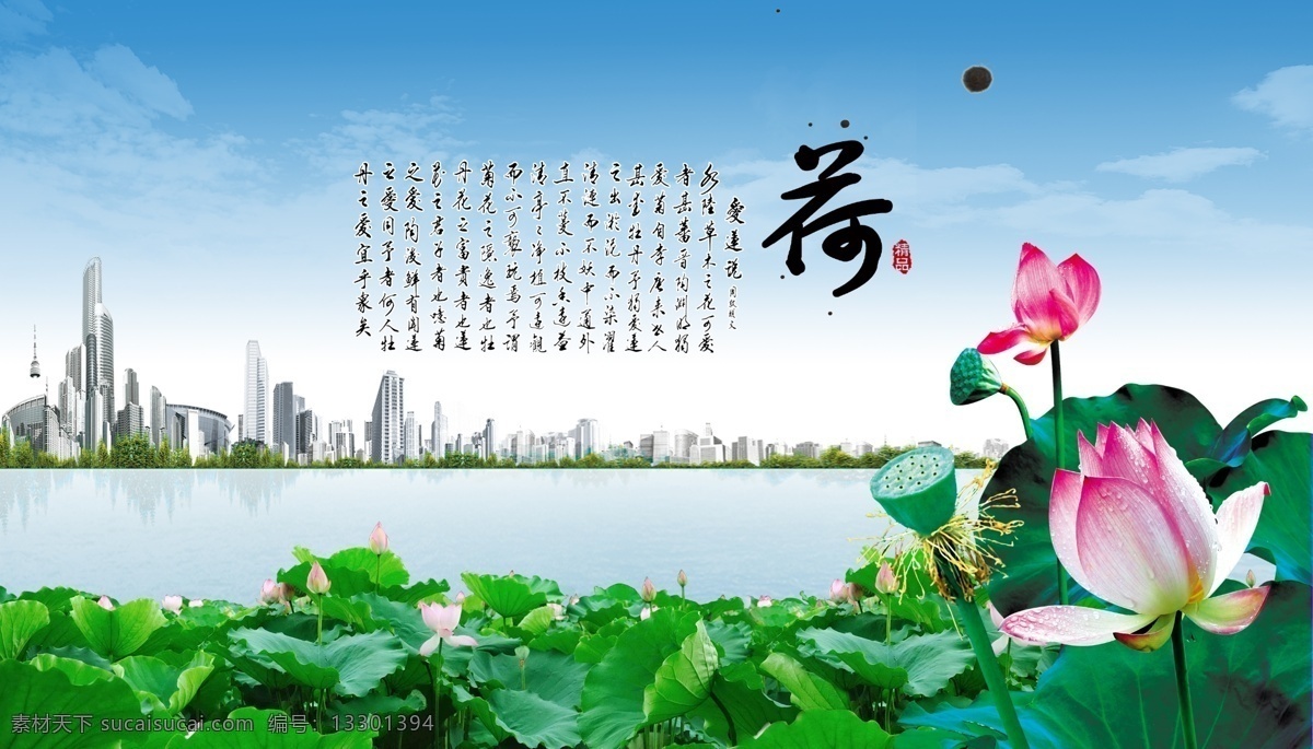 荷花 苫夭南略 白色