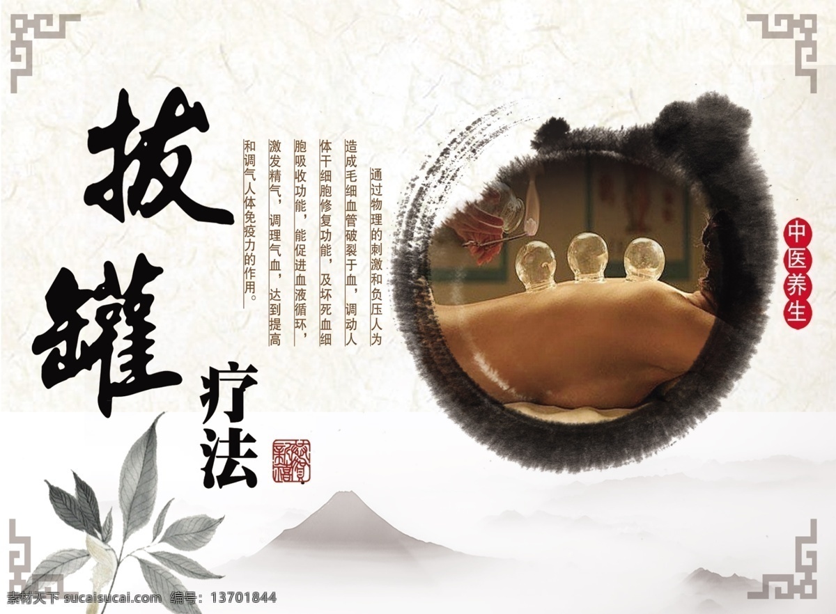 拔罐疗法 拔罐 养身 按摩 医疗 美容 分层