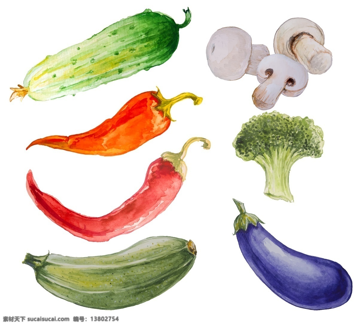水彩 手绘 蔬菜 元素 黄瓜 辣椒 茄子 西蓝花 蘑菇