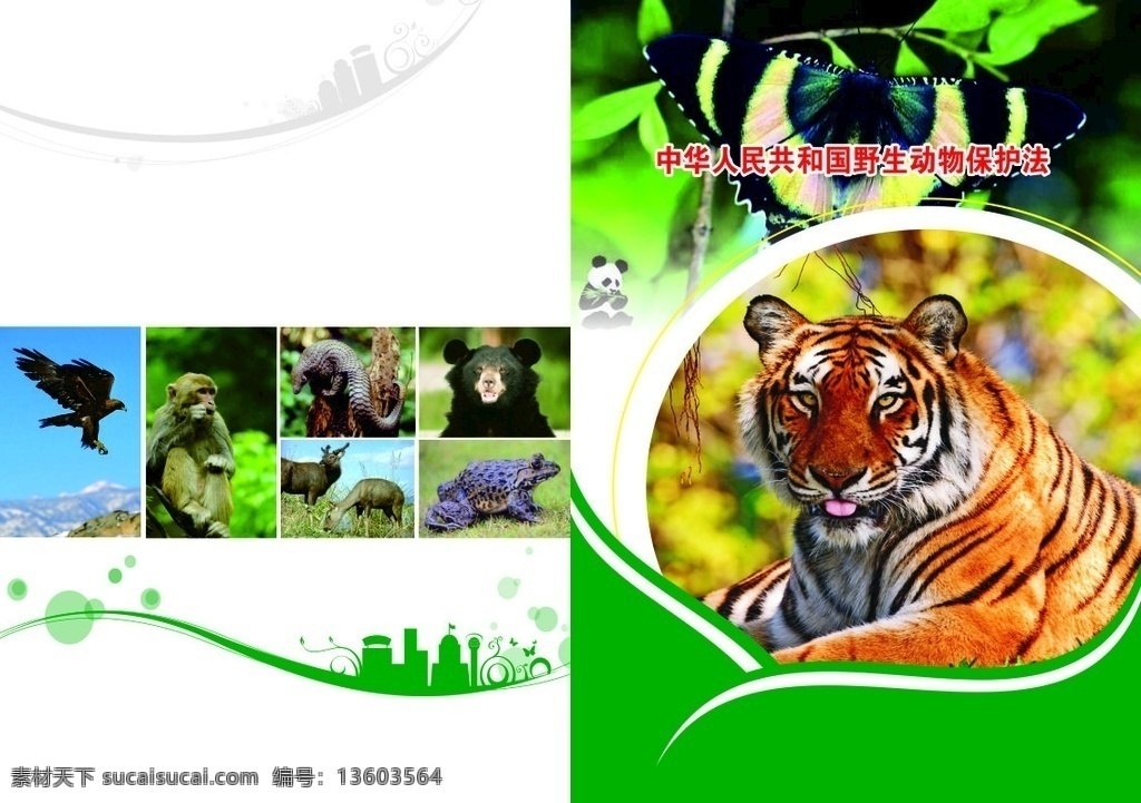 中华人民 共和 野生动物 保护法 封面 绿色 动物 虎 蛾 鹰 猴 环保 老虎