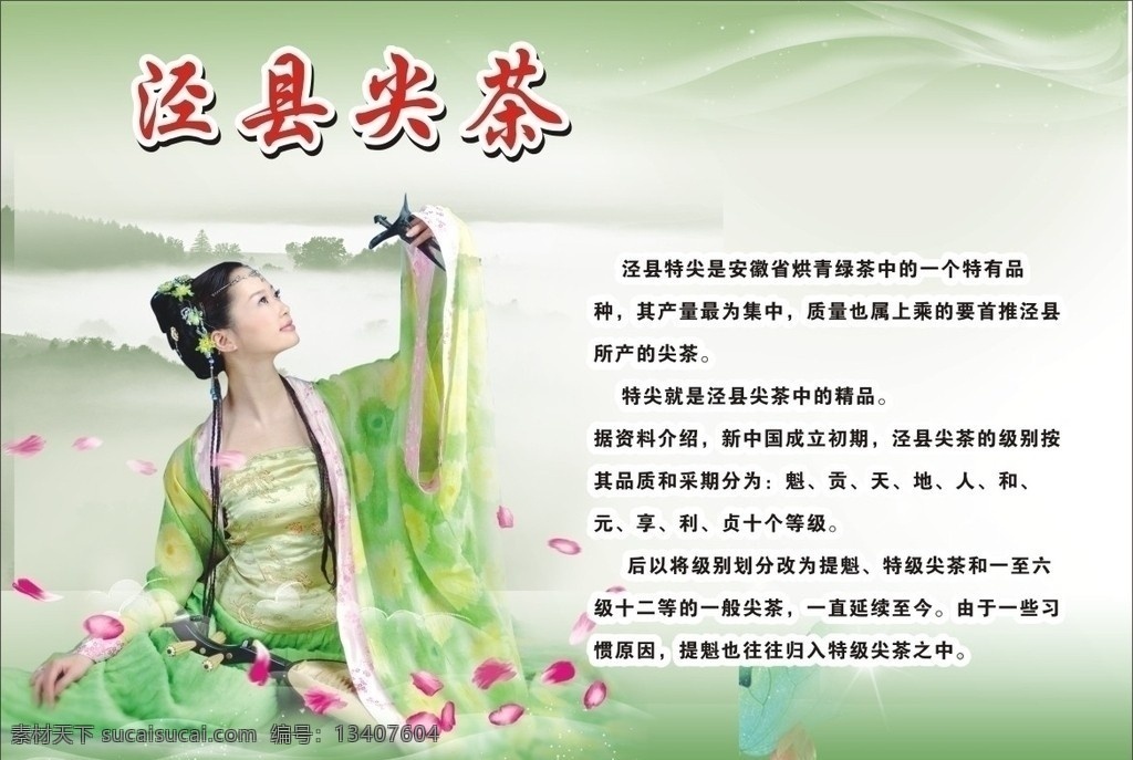 尖茶 泾县尖茶 尖茶介绍 古典美女 仙境 矢量
