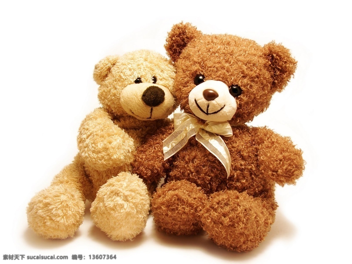 纯白背景 高清壁纸 毛绒玩具 生活百科 娱乐休闲 两 只 小 熊 玩偶 两只小熊玩偶 布偶玩具 毛绒泰迪熊