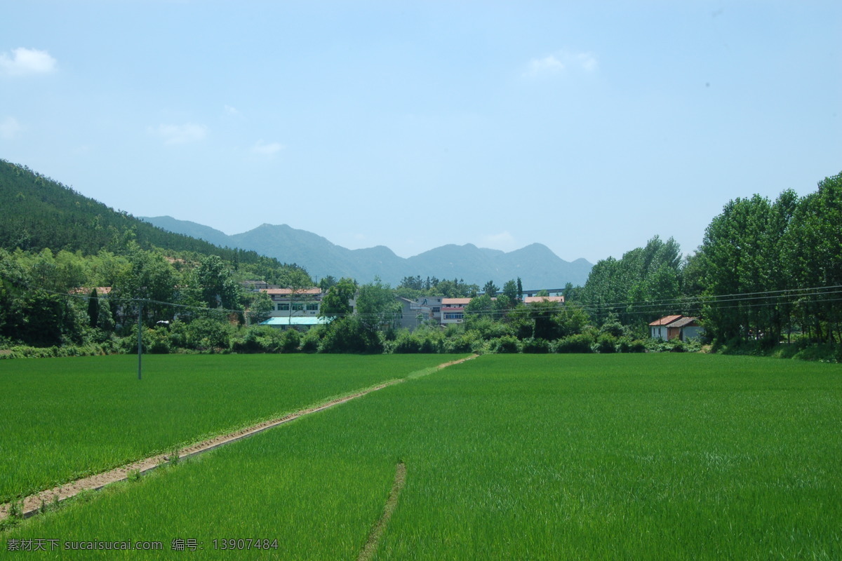 鄂东田园风光 新农村 稻田碧野 田园似锦 夏日山村 田园风光 自然景观