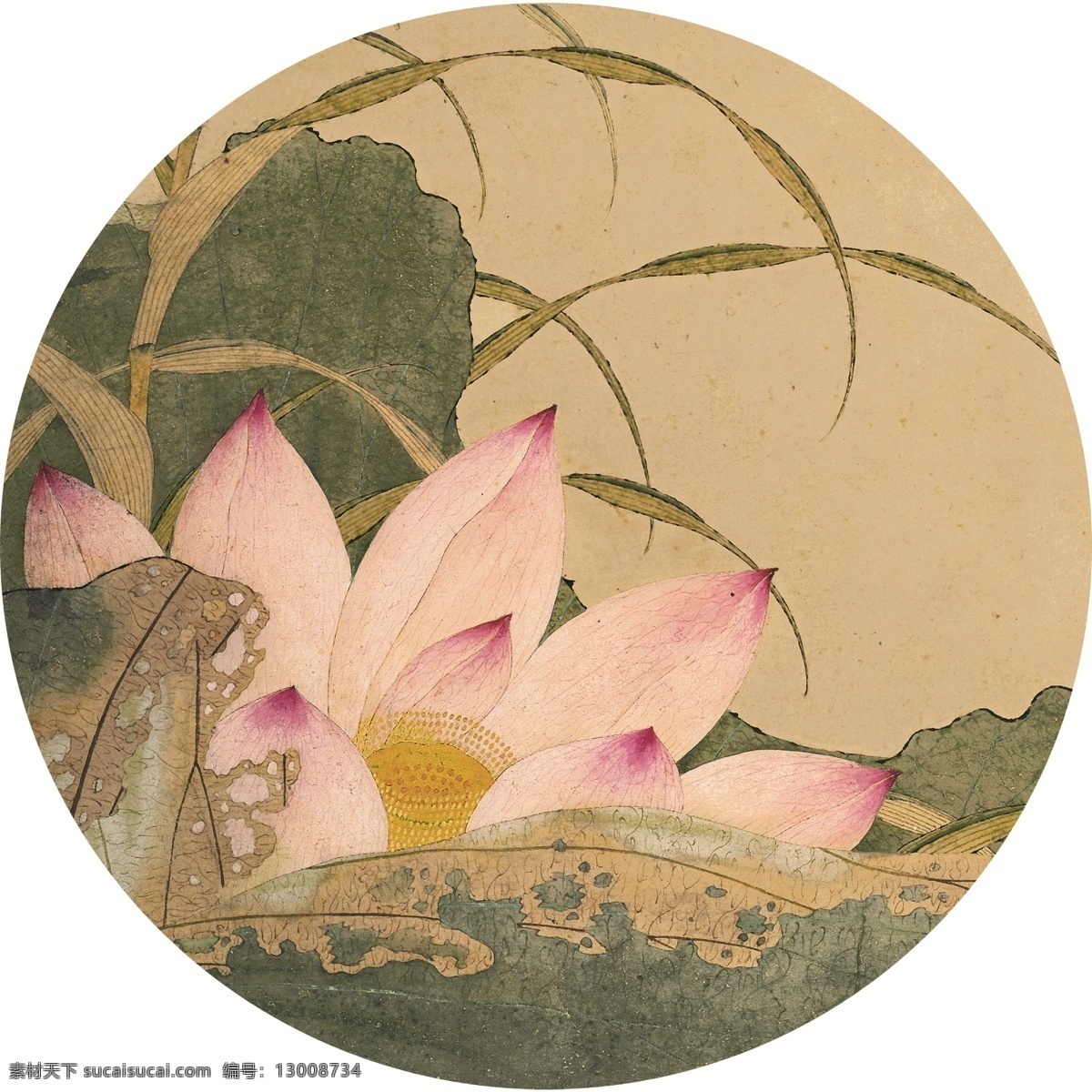 中式 水墨 荷花 图 装饰画 工笔 国画 高清 大图