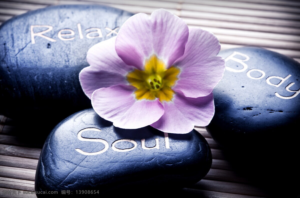 鲜花 花朵 水疗 凉席 鹅卵石 按摩石 磁石 spa 美容 生活百科 生活素材