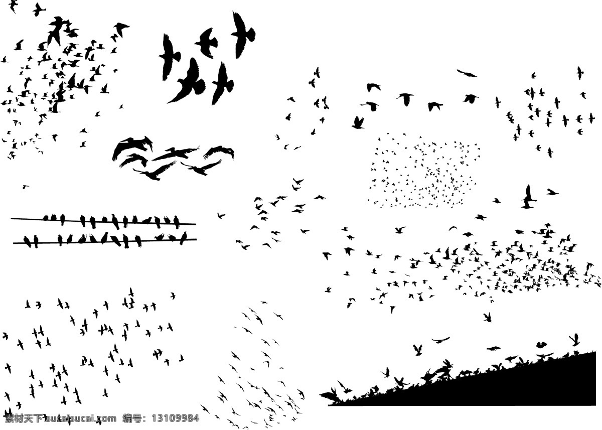 各种鸟类剪影 鸟 剪影 矢量 飞翔 生物世界 昆虫