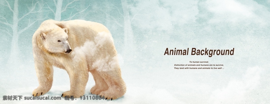 北极熊 白熊 熊 手绘北极熊 手绘野生动物 野生动物 生物世界