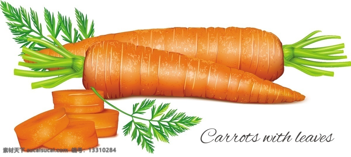 红萝卜素材 红萝卜 carrot 萝卜 胡萝卜 共享设计矢量 生活百科 餐饮美食
