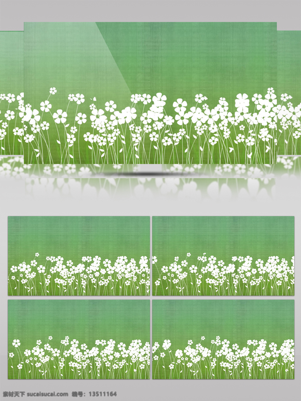 风 中 摇曳 绽放 白色 小花 视频 花朵 花卉 植物 绿色 绿叶 白花 美丽 卡通
