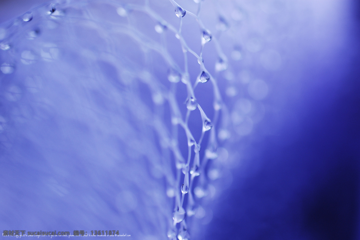 露珠 水珠 水滴 水珠图片 漂亮的水珠 露水 晨露 微距拍摄 水主题素材 生命之水 水滴水珠 自然风景 自然景观