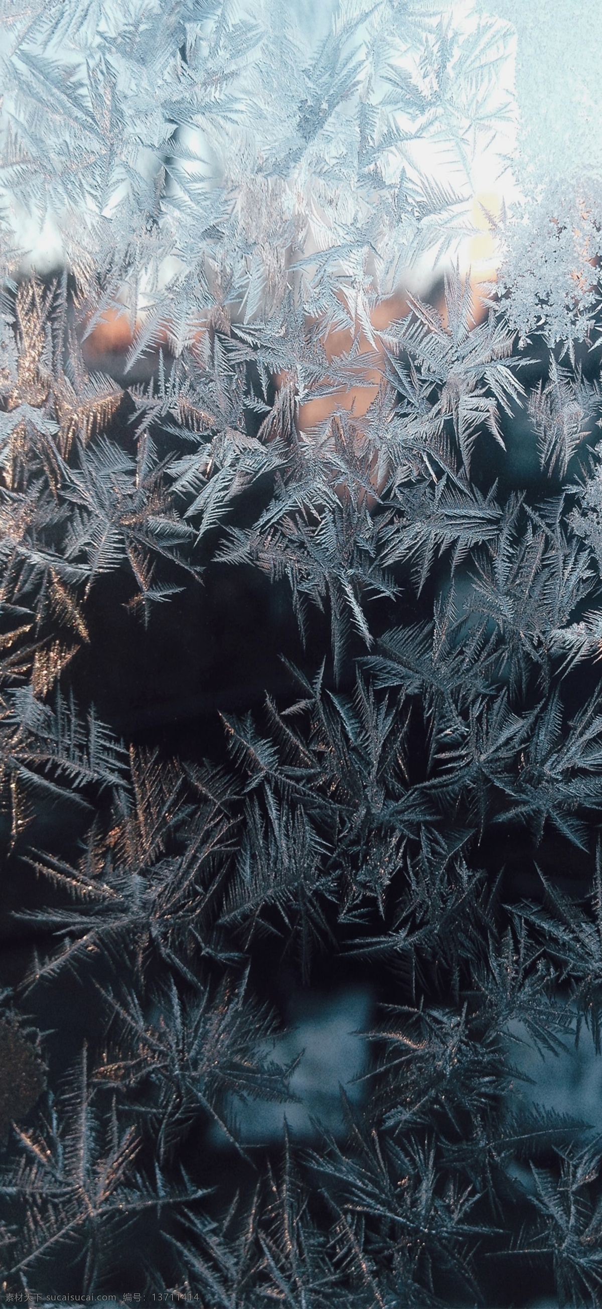 霜降底 霜降 大寒 节气 冬天 雪花 冰花 地产 海报 立秋 底纹边框 背景底纹