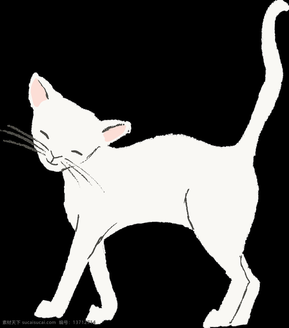 手绘 走路 的卡 通 猫 透明 猫咪 白色 动物 猫科 免扣素材 透明素材 小猫 装饰图片