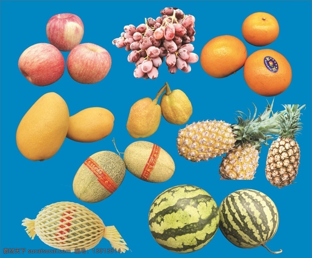 水果矢量图 苹果 沃柑 橘子 芒果 葡萄 菠萝 凤梨 提子 哈密瓜 西瓜 梨