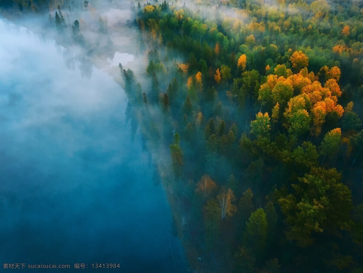 林海 雾中森林 仙境 green 树林 森林 绿色 清新 风景 风景画 环境 自然风景 风光 烟雾 自然景观