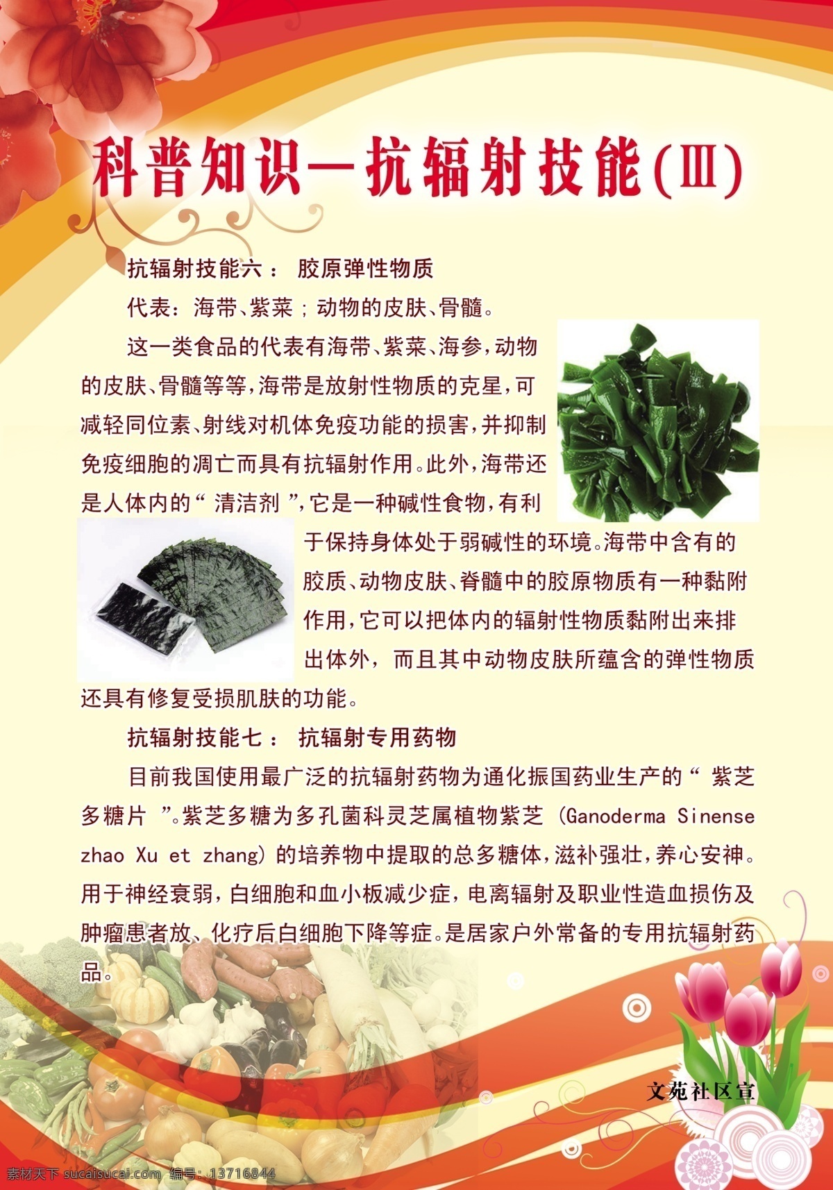 科普知识 制度 牌 广告设计模板 果蔬 海带 源文件 展板 展板模板 制度牌 抗辐射知识 紫菜 其他展板设计