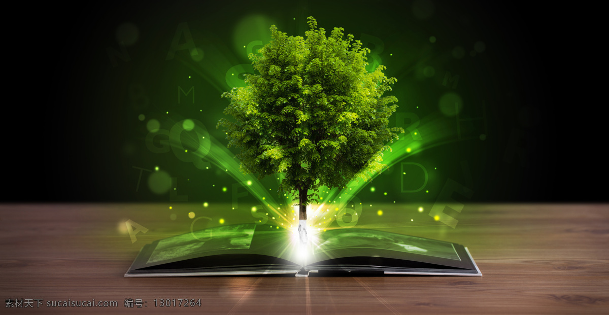 摊开 书本 上 绿树 摊开的书本 树木 光点 木质桌面 书本图片 生活百科
