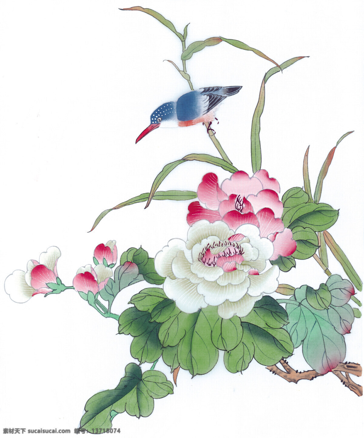 花鸟国画 国画 工笔 工笔花鸟 绘画 国画素材 文化艺术 绘画书法
