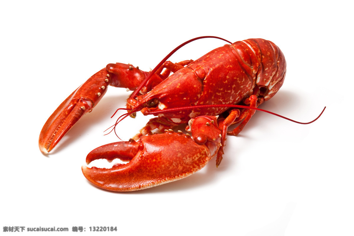 龙虾 小龙虾 大龙虾 波士顿龙虾 鳌虾 海鲜大餐 海鲜 大虾 高档食材 海产品 澳洲龙虾 餐饮美食 西餐美食