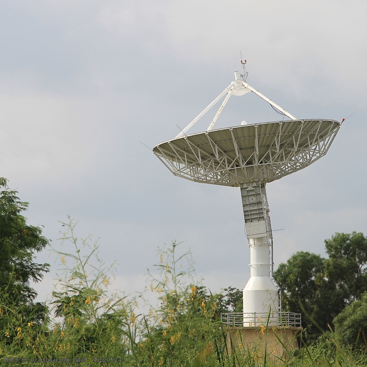 草地 上 卫星 接收器 卫星接收器 网络 通信 通讯网络 现代科技