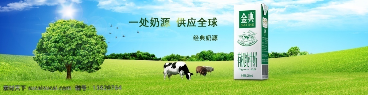 蓝天 白云 绿色 草地 奶牛 牛奶