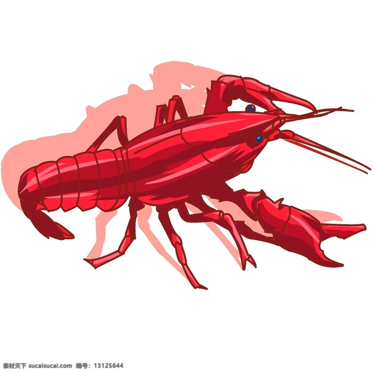 红色 海鲜 小 龙虾 小龙虾 动物