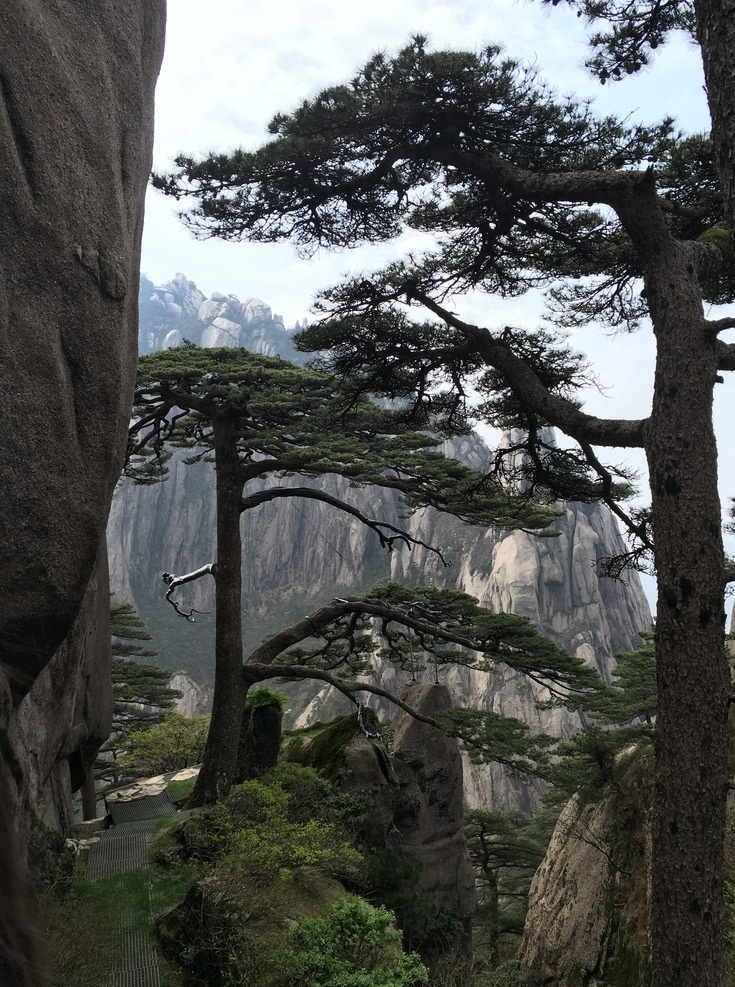 安徽 黄山 迎客松 风景 高山 旅游摄影 国内旅游 摄影风景 自然风景
