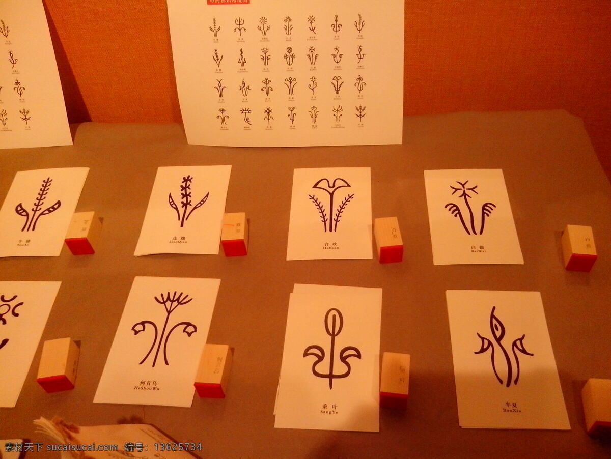 毕业设计 插画 花 卡片 美术绘画 手工 小花 药材 展览 野花 手绘 桑叶 半夏 文化艺术 插画集