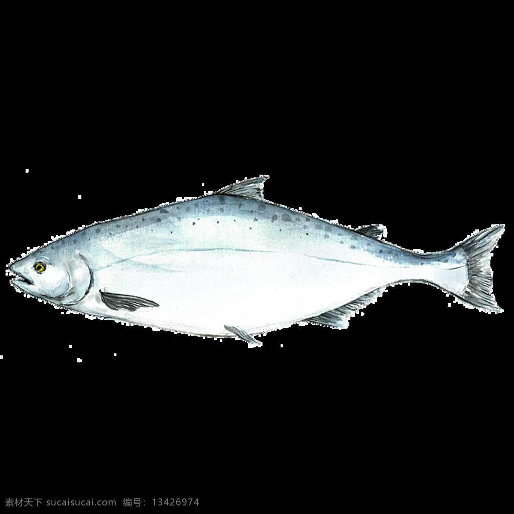 水彩 绘画 海鱼 海产 图案 鱼 海鲜 海洋生物 水产 鱼类 食物 手绘 颜料 小清新 包装图案 卡通 生物世界