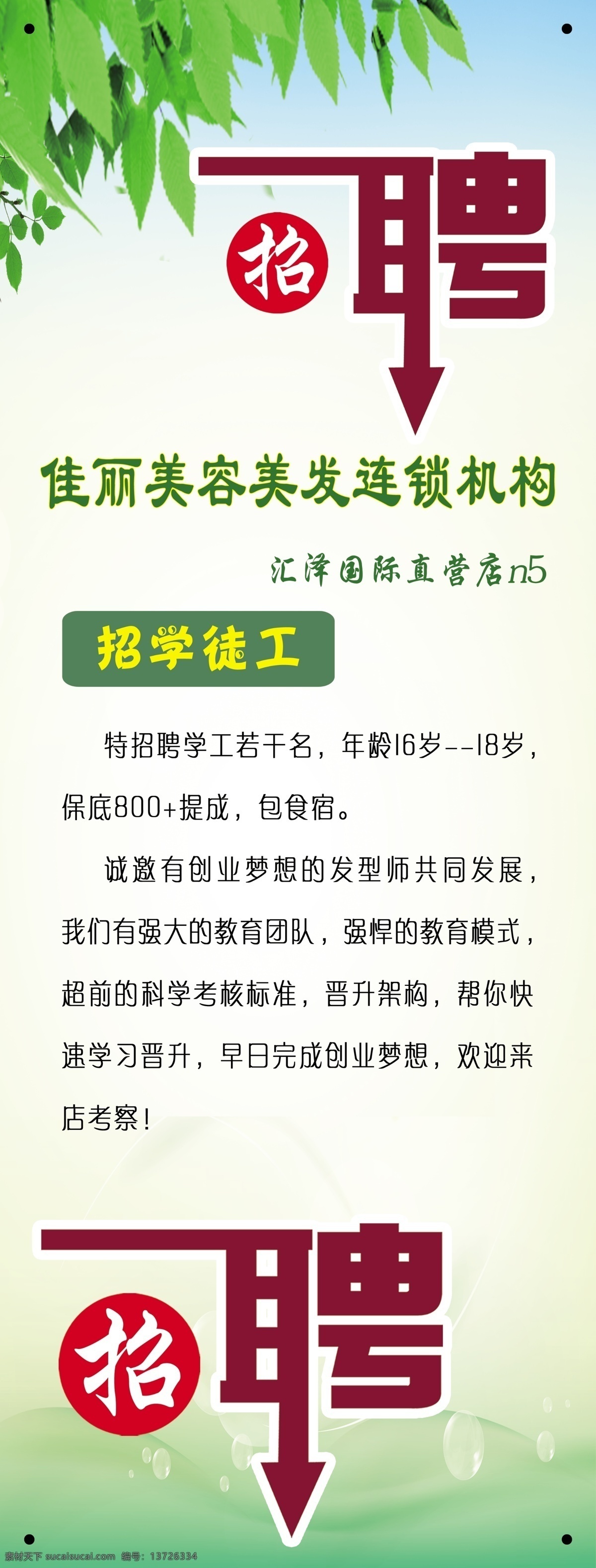 美容美发 招聘展架 招聘字体 绿色背景图 招聘海报